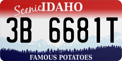 ID license plate 3B6681T