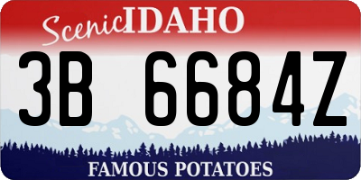 ID license plate 3B6684Z