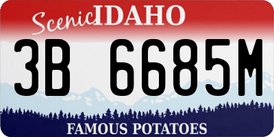 ID license plate 3B6685M