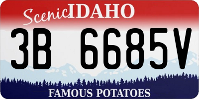 ID license plate 3B6685V
