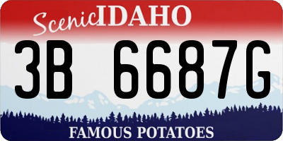 ID license plate 3B6687G