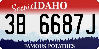 ID license plate 3B6687J