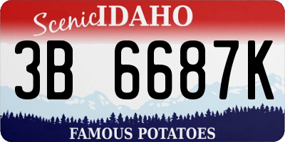 ID license plate 3B6687K