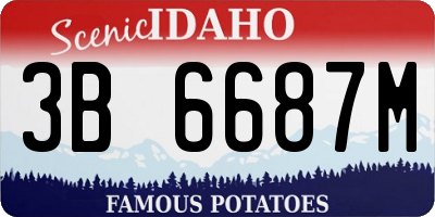 ID license plate 3B6687M