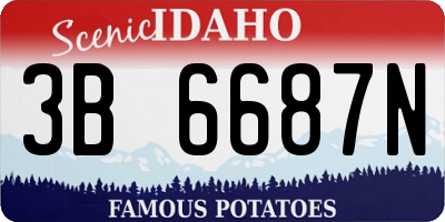 ID license plate 3B6687N
