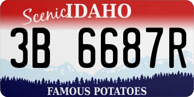 ID license plate 3B6687R