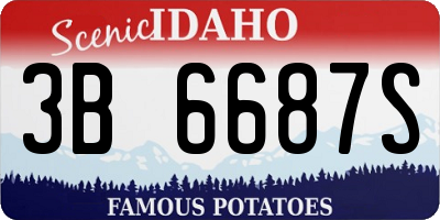 ID license plate 3B6687S