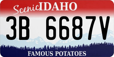 ID license plate 3B6687V