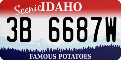 ID license plate 3B6687W