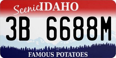 ID license plate 3B6688M