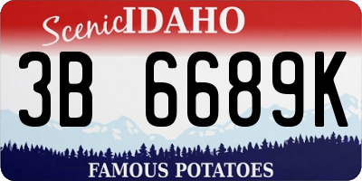 ID license plate 3B6689K