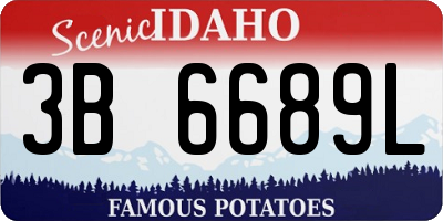 ID license plate 3B6689L