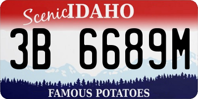 ID license plate 3B6689M