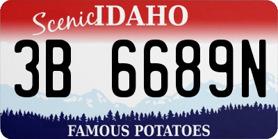 ID license plate 3B6689N