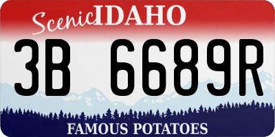 ID license plate 3B6689R