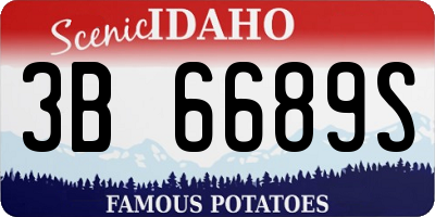 ID license plate 3B6689S