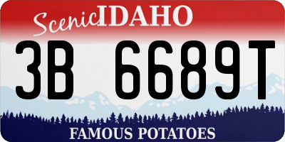ID license plate 3B6689T