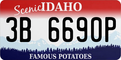 ID license plate 3B6690P