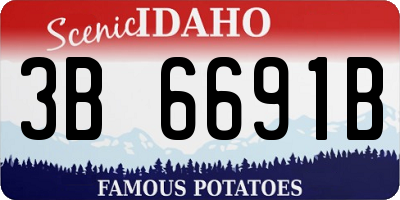 ID license plate 3B6691B