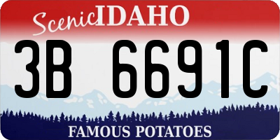ID license plate 3B6691C