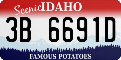 ID license plate 3B6691D