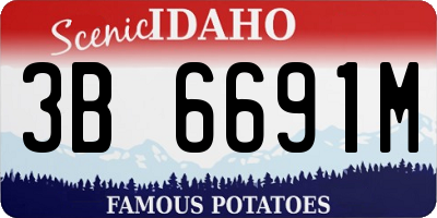 ID license plate 3B6691M