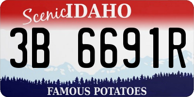 ID license plate 3B6691R