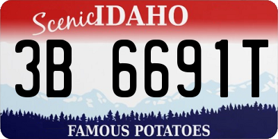 ID license plate 3B6691T