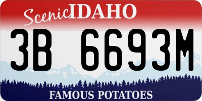 ID license plate 3B6693M