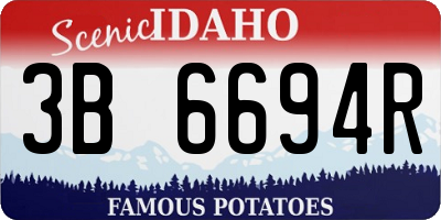 ID license plate 3B6694R