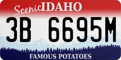 ID license plate 3B6695M