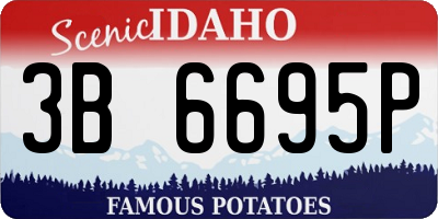 ID license plate 3B6695P