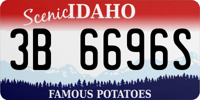 ID license plate 3B6696S