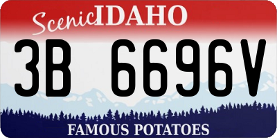 ID license plate 3B6696V