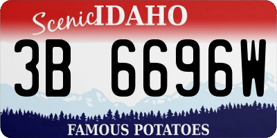 ID license plate 3B6696W