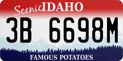 ID license plate 3B6698M
