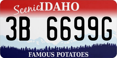 ID license plate 3B6699G