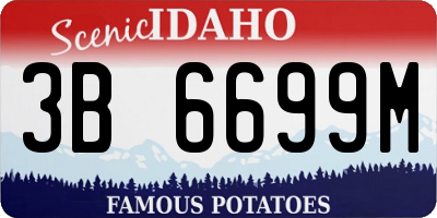 ID license plate 3B6699M