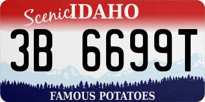 ID license plate 3B6699T
