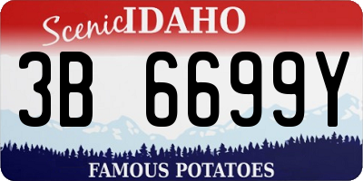 ID license plate 3B6699Y