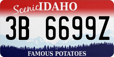 ID license plate 3B6699Z