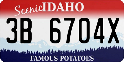ID license plate 3B6704X