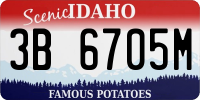 ID license plate 3B6705M