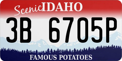 ID license plate 3B6705P