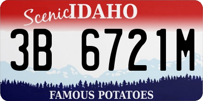 ID license plate 3B6721M