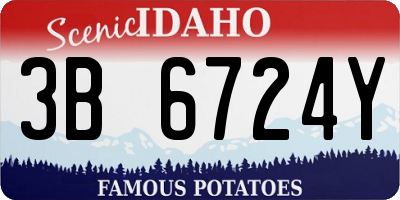 ID license plate 3B6724Y