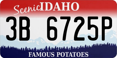 ID license plate 3B6725P