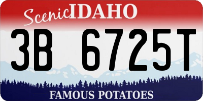 ID license plate 3B6725T