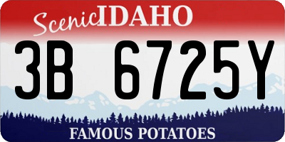 ID license plate 3B6725Y