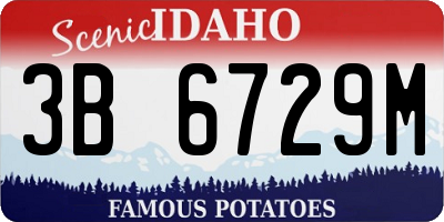 ID license plate 3B6729M